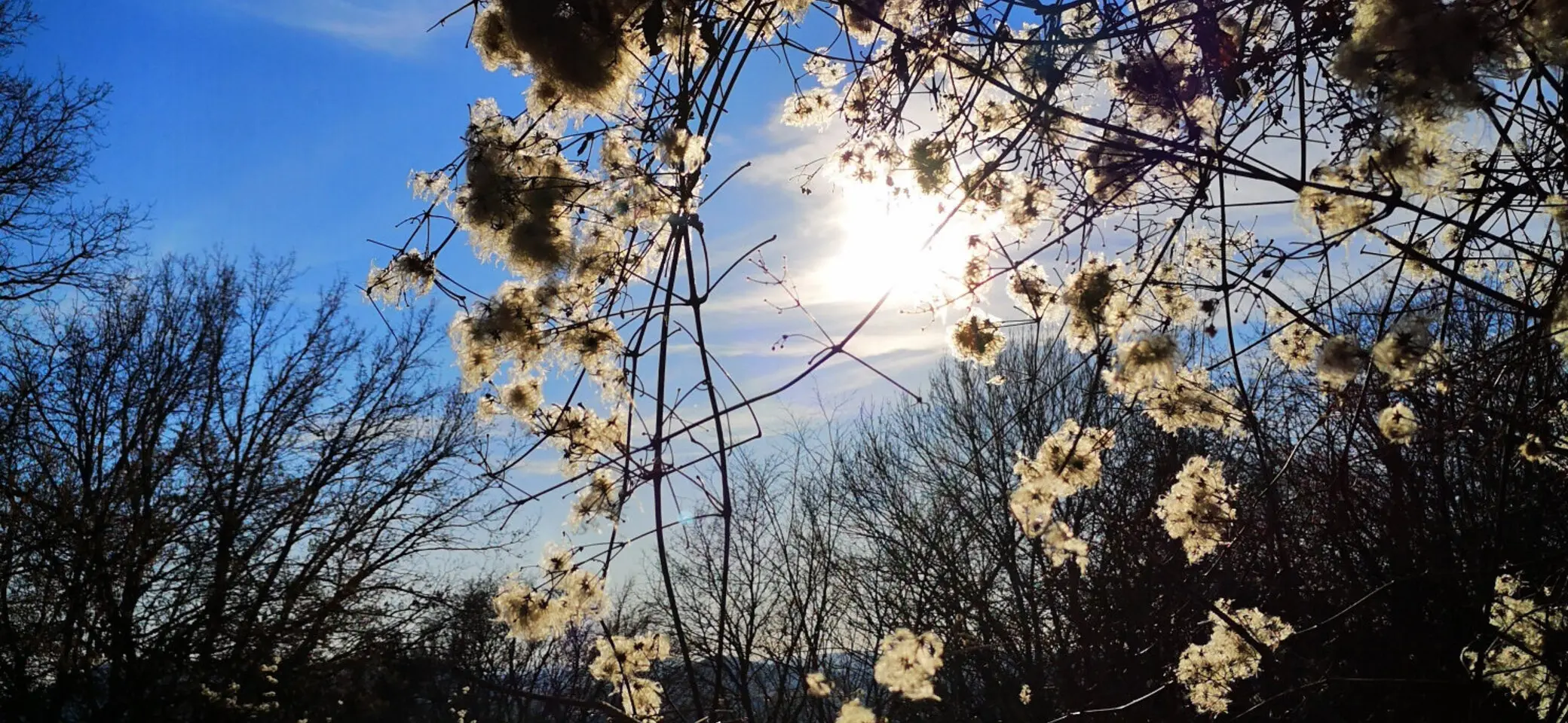 Wolfstein | © DAV Neumarkt - Verena Bärtl